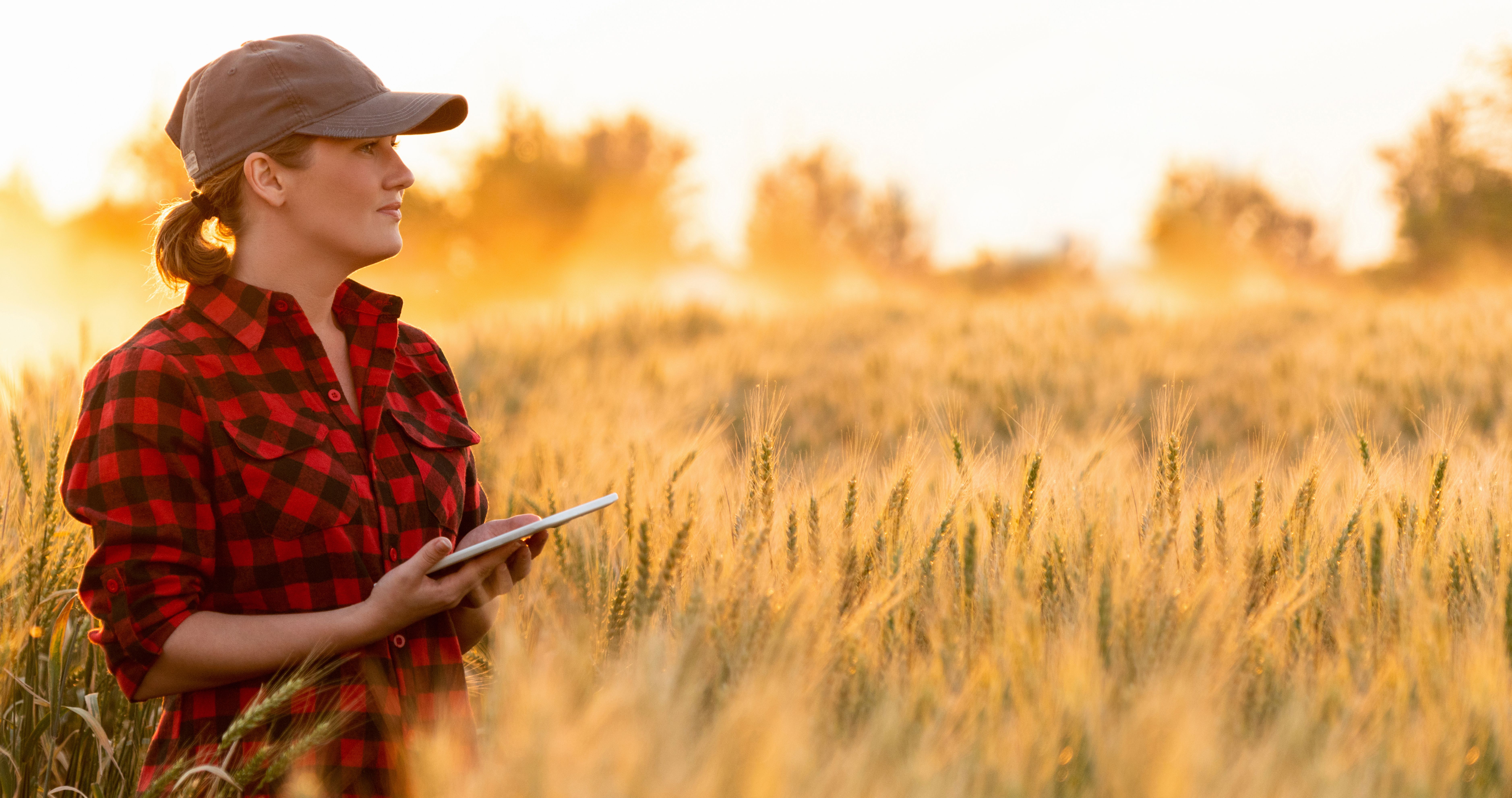 agricultural image