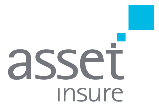 Picture of Asset Insurance logo