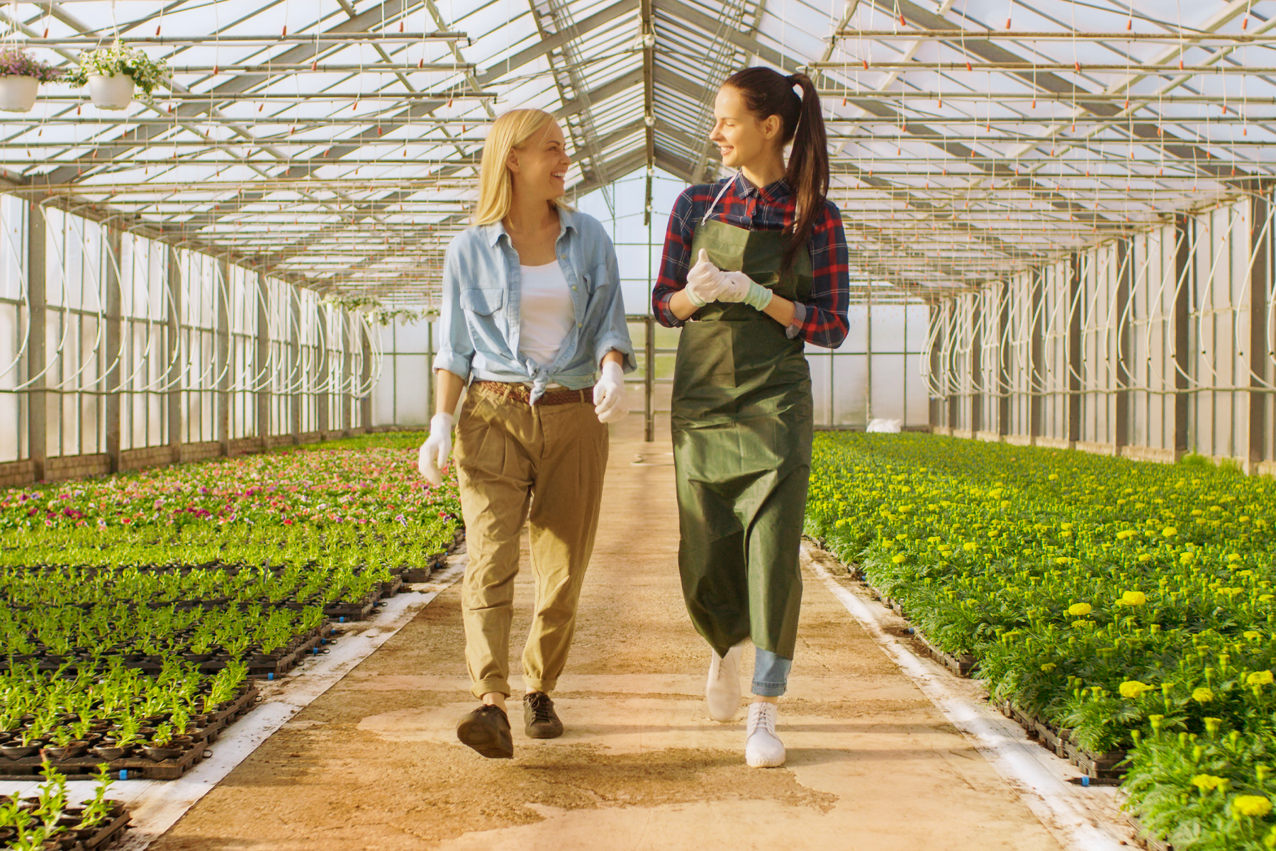 Two women walking through a greenhouse